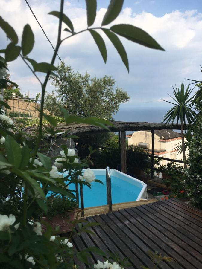 Villa Blue Dream - Amalfi Coast Conca dei Marini Exterior foto